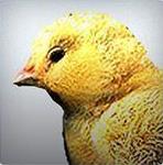 Аватар для kvintkonta Аватар для kvintkonta