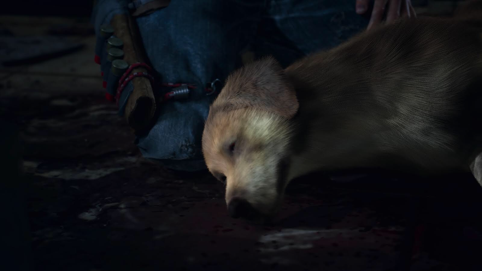 Собак убивают игра. Эбби the last of us. Игра кошки и собаки. Собак убивают игра. Сталкер мутант псевдособака.