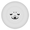 Raccoon_of_space