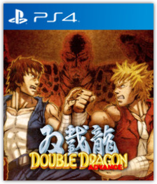 Double Dragon Advance