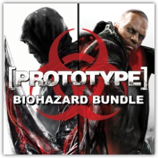 Prototype 2